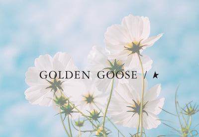 Golden Goose Lovers - Check This Out!