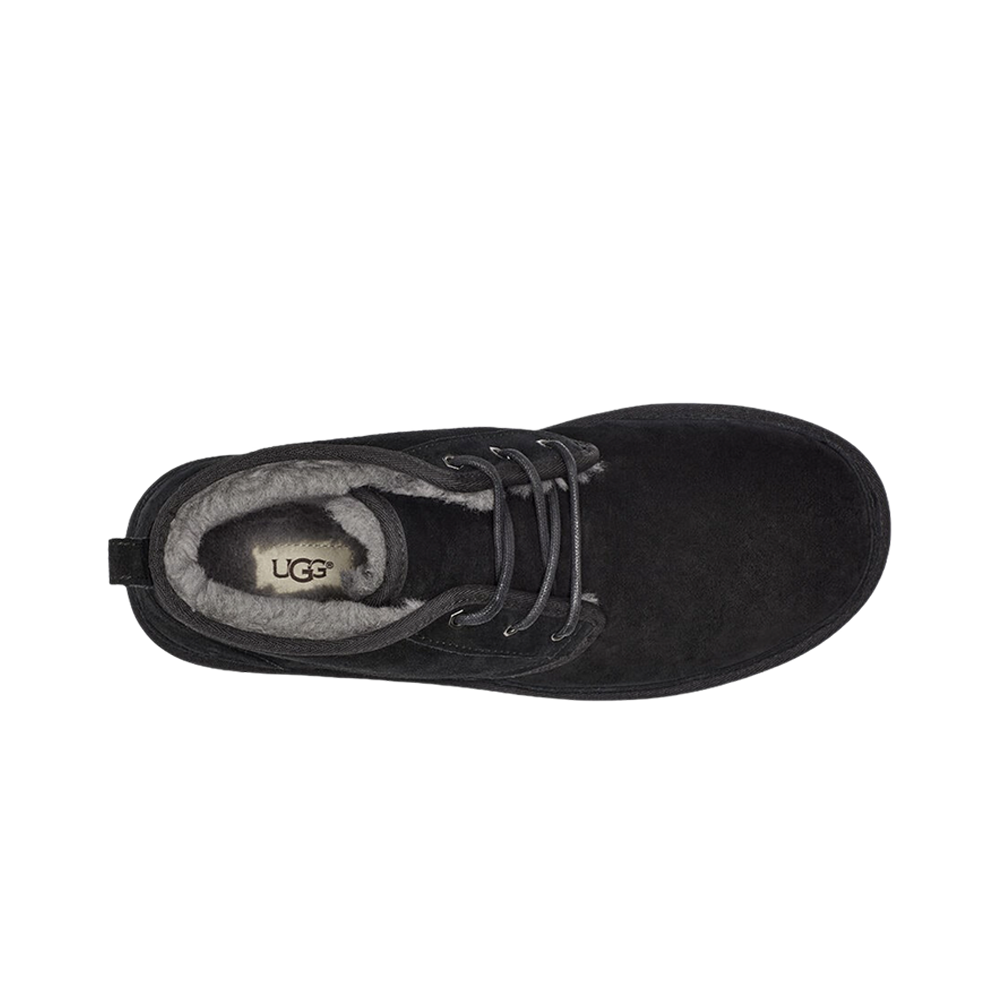 Amazon.com | Newton Running(ニュートンランニング) Women's